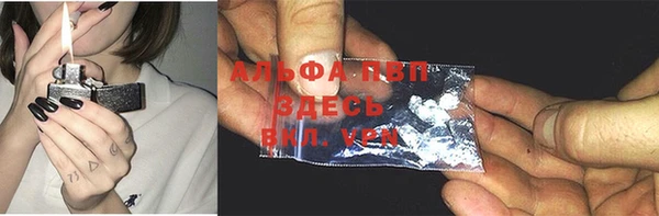 тгк Новодвинск