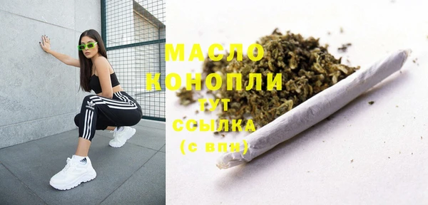 тгк Новодвинск