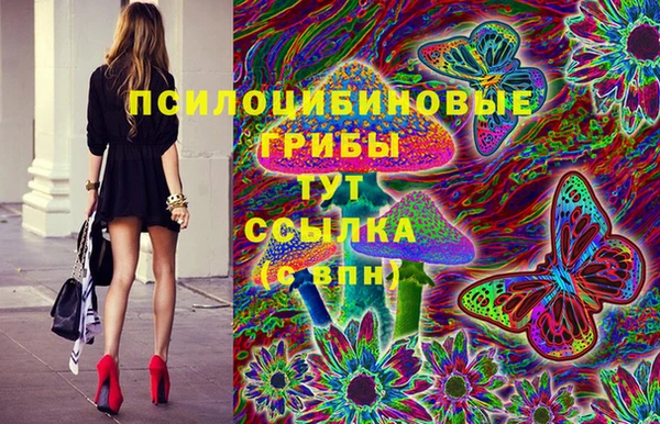 тгк Новодвинск