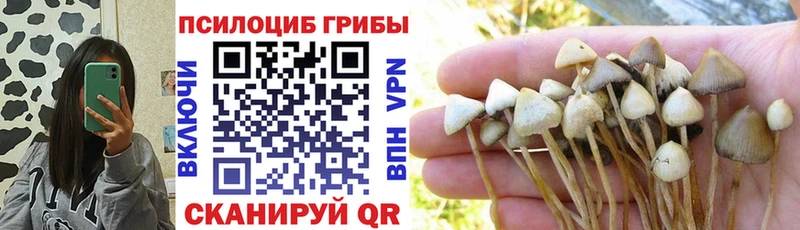 где найти наркотики Усть-Лабинск Галлюциногенные грибы мухоморы