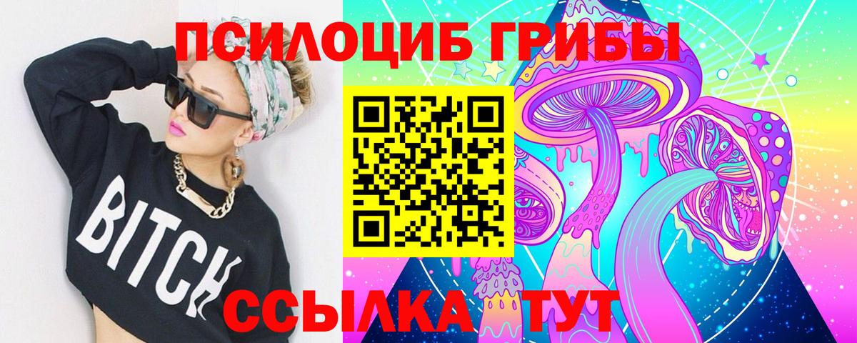 Псилоцибиновые грибы Psilocybe Усть-Лабинск